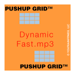 Dynamic Fast 100