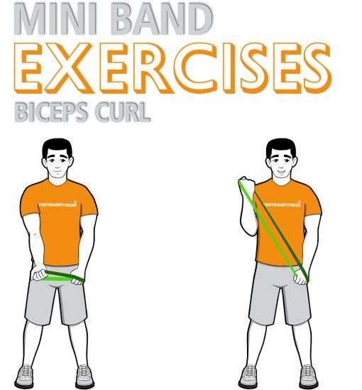 Mini Band Biceps Curl