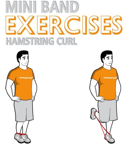 Mini Band Hamstring Curl