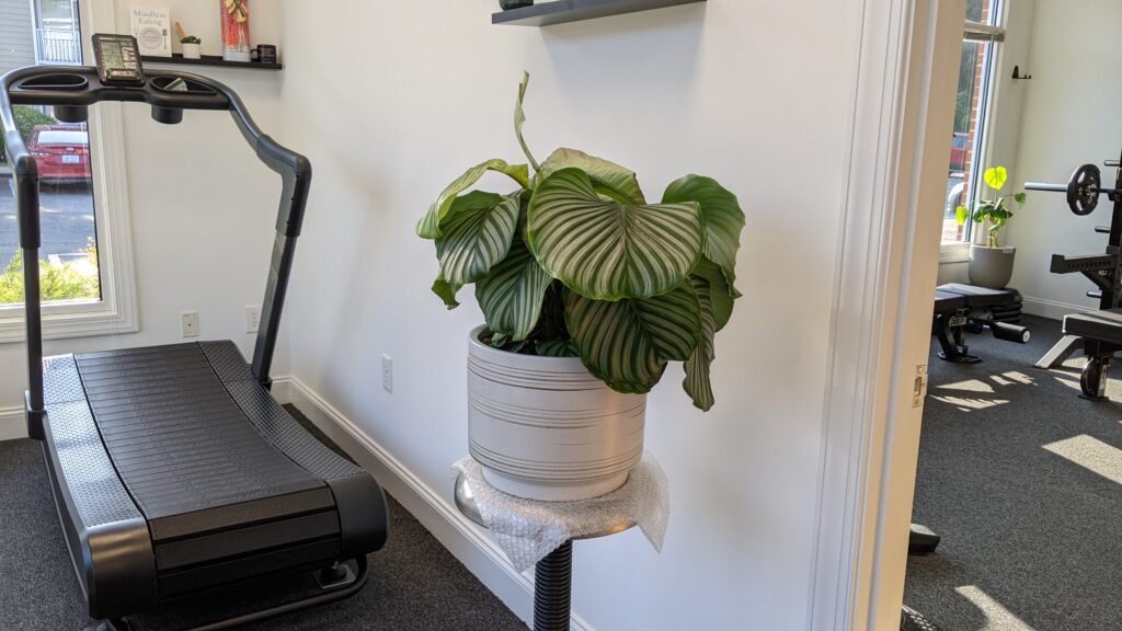 YOUTRAINFITNESS® Personal Trainer, Durham, NC