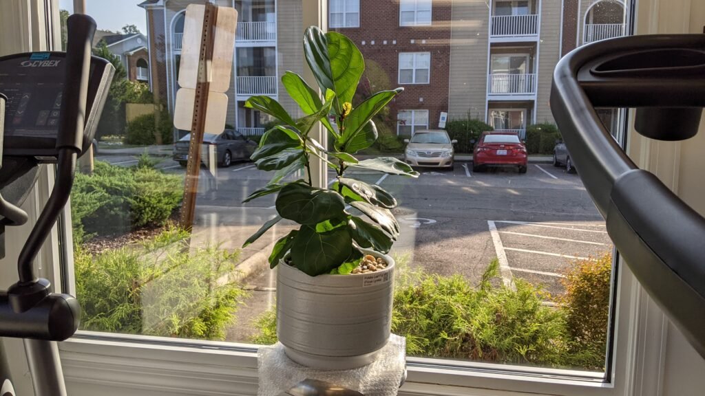 YOUTRAINFITNESS® Personal Trainer, Durham, NC