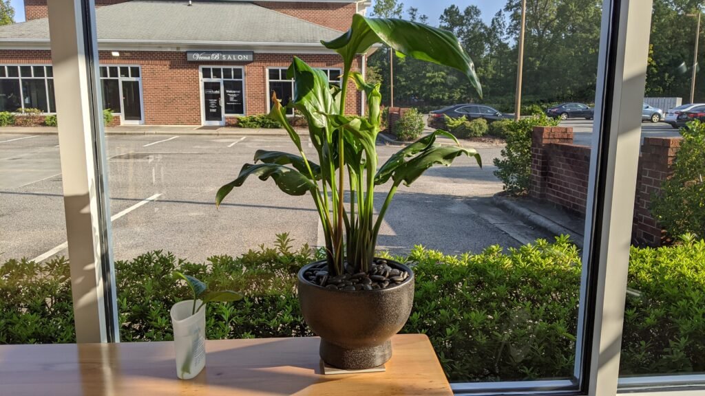 YOUTRAINFITNESS® Personal Trainer, Durham, NC