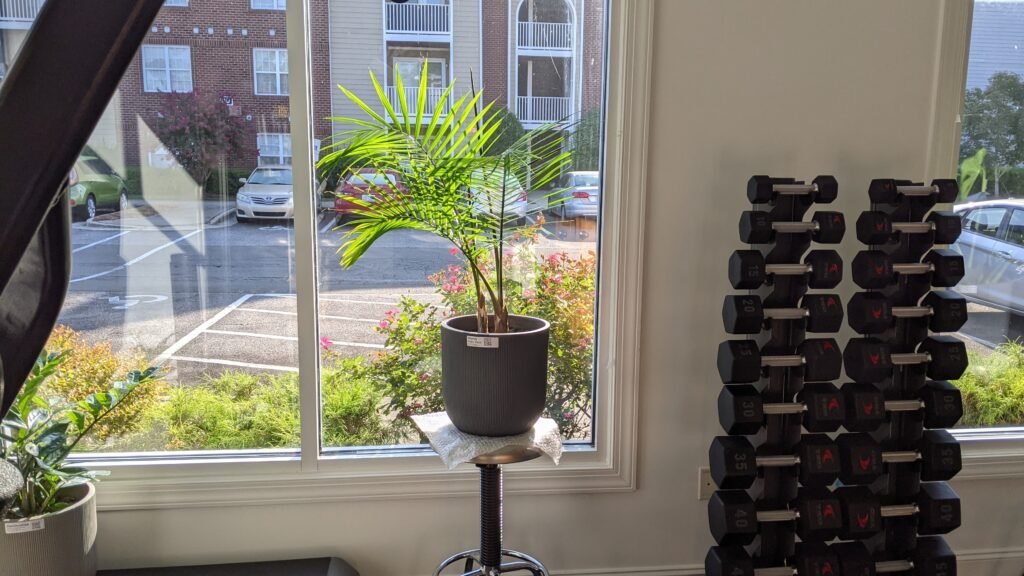 YOUTRAINFITNESS® Personal Trainer, Durham, NC