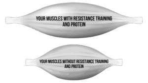 Does GLP-1 Cause Muscle Loss?